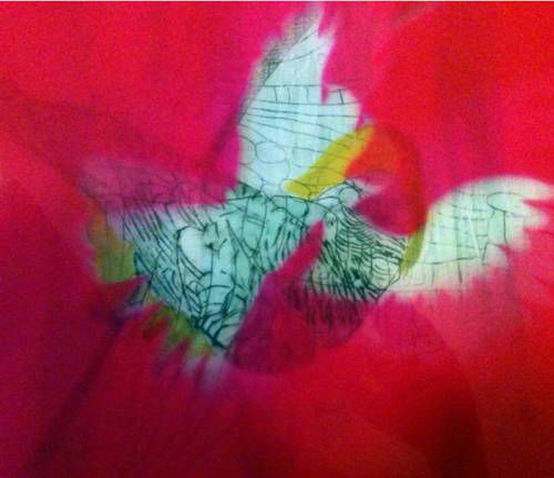 Image 14 jpeg H&amp;S