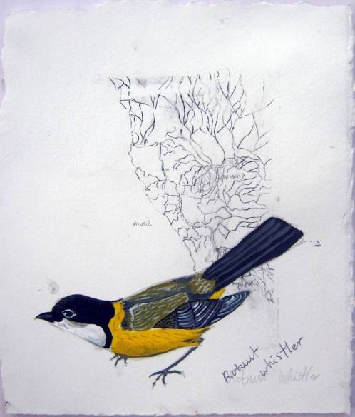 Image 9 jpeg H&amp;S